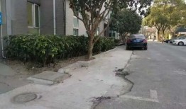 竹林小区新闻爆料最新情况,最新进展及影响揭秘