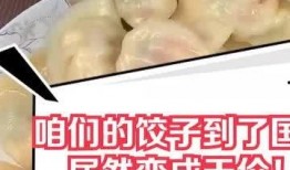 爆料天价水饺视频大全集,视频大全集深度解析